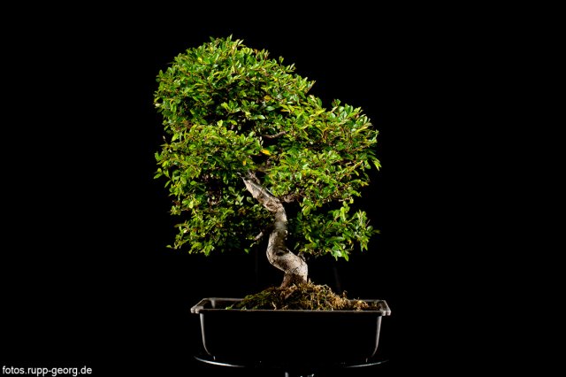 Technik_Produkt_Tabletop